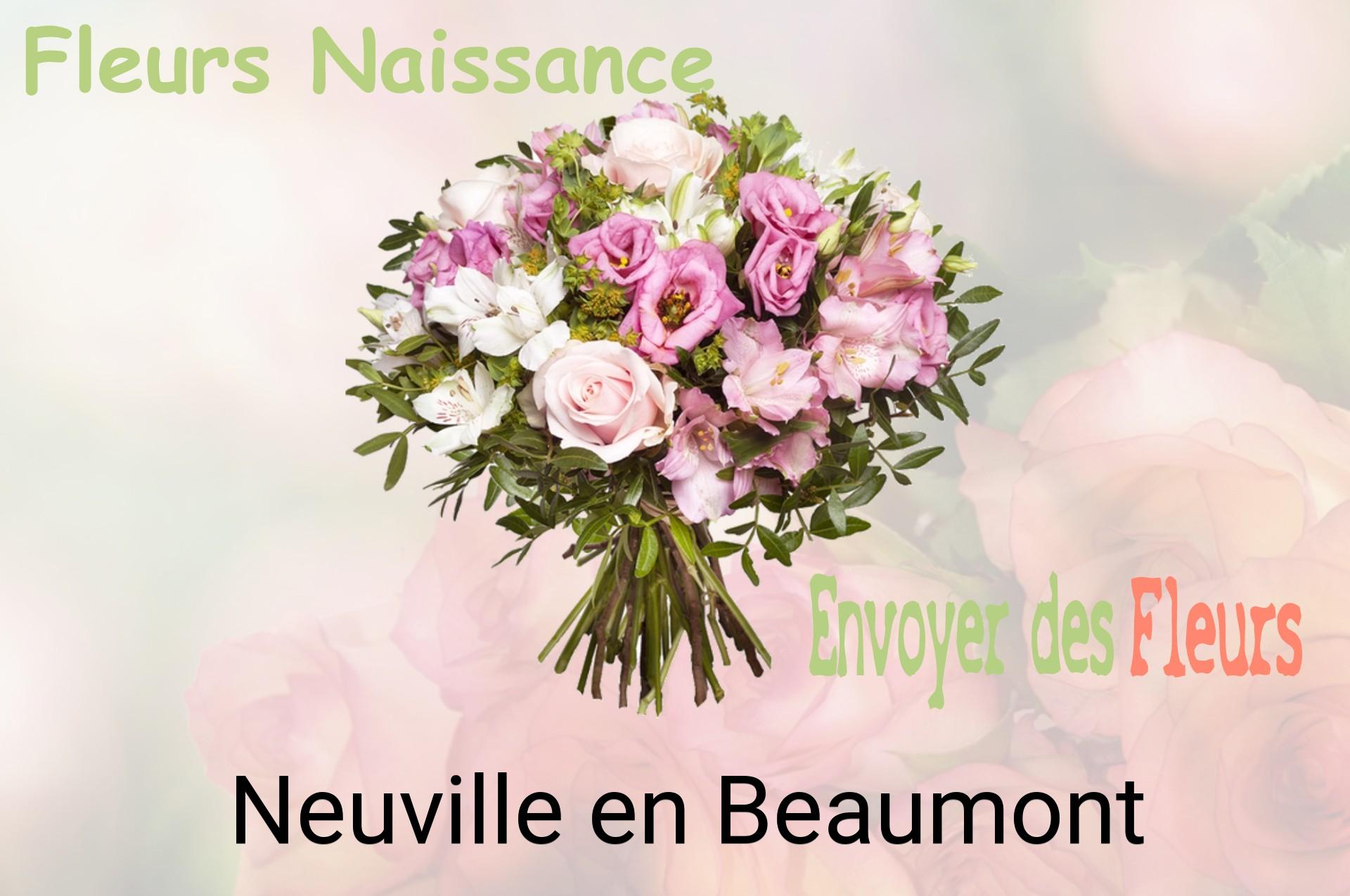 Bouquet de fleurs de naissance livré à Neuville-en-Beaumont